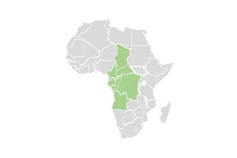regional map of central african countries